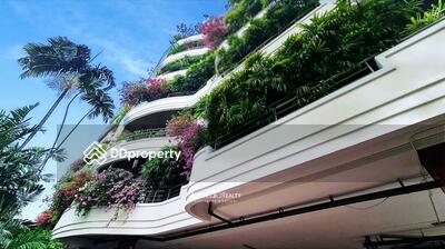 - The Panache : เดอะ พานาซ