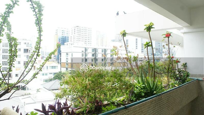 ให้เช่า - Arcadia Mansion : อาร์คาเดีย แมนชั่น, กรุงเทพ