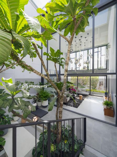 For Rent - Baan Puripuri Courtyard Pattanakarn, Bangkok