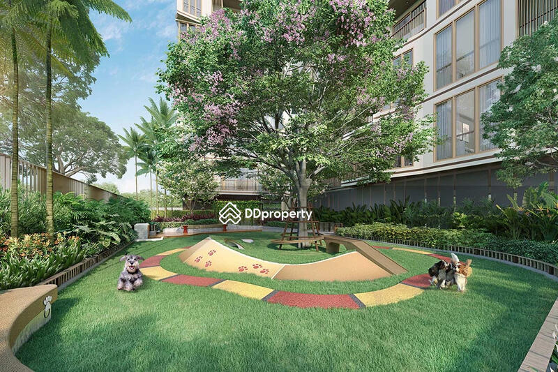 ขาย - Mekin HAUS : เมคิน เฮาส์, เชียงใหม่