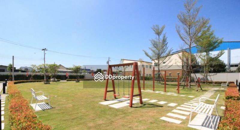 ขาย - Pleno Phetkasem 81 : พลีโน่ เพชรเกษม 81, กรุงเทพ