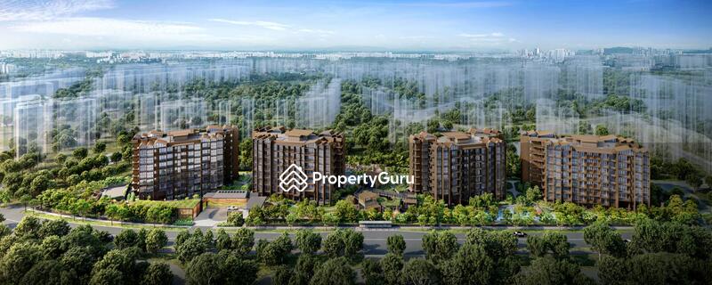 For Sale - Kassia