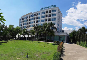 The Living Hills : เดอะลิฟวิ่งฮิลล์