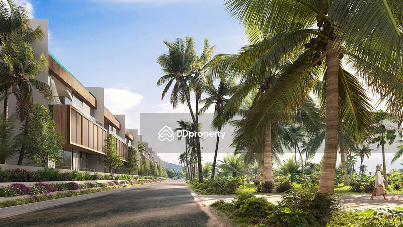 Banyan Tree Grand Residences (Beach Terraces) : บันยัน ทรี แกรนด์ เรสซิเดนซ์ - บีช เทอเรช #0