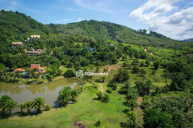 ให้เช่า - Vichuda Hills : วิชุดา ฮิลล์, ภูเก็ต