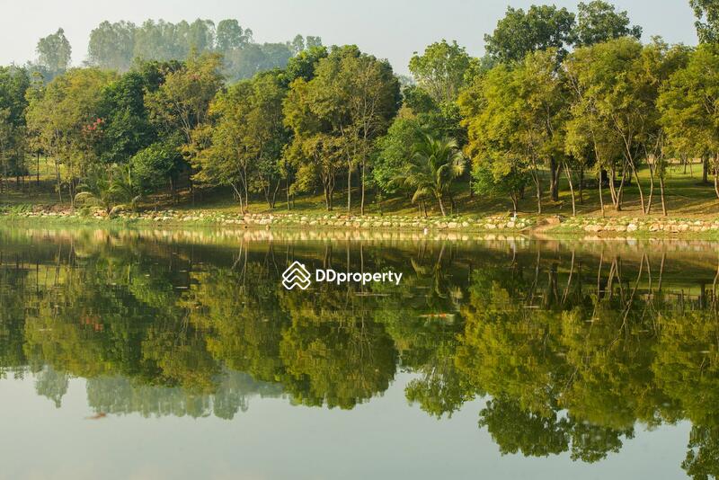 ขาย - The Gallery Khao Yai : เดอะแกลเลอรี่ เขาใหญ่, นครราชสีมา