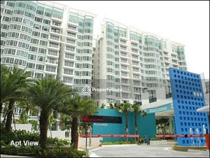 For Sale - Blossoms @ Woodleigh