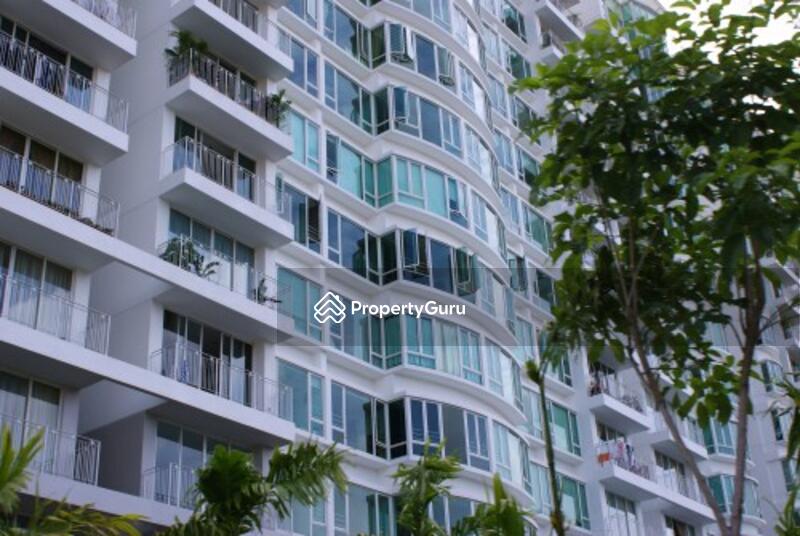 For Sale - Blossoms @ Woodleigh