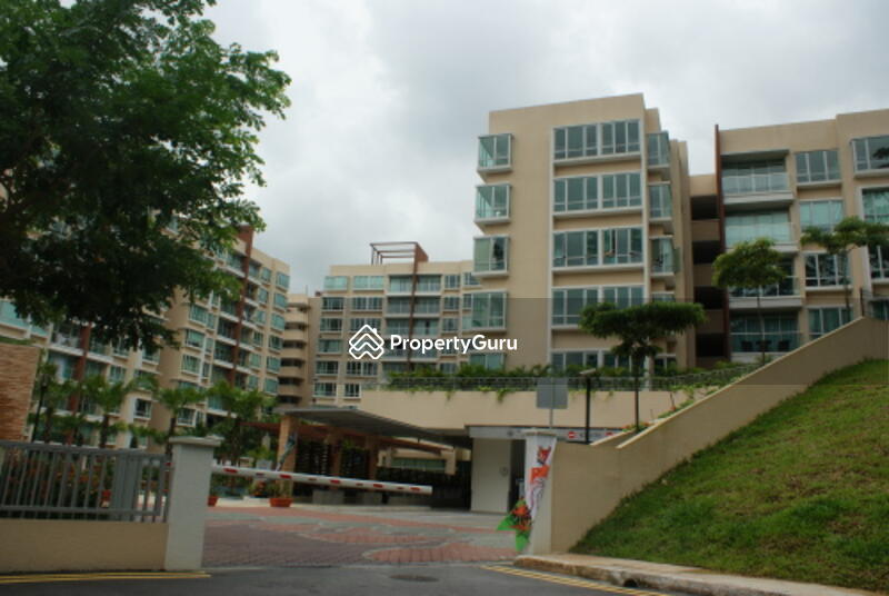 For Sale - The Raintree