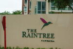 The Raintree #0