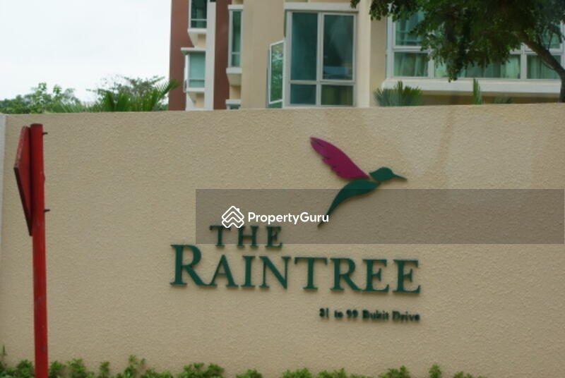 For Sale - The Raintree