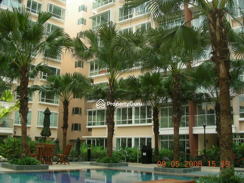 For Sale - The Raintree
