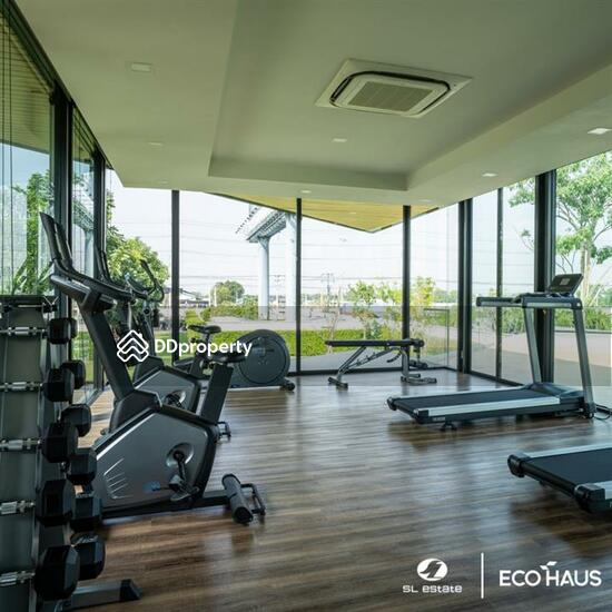 ขาย - Eco Haus Wongwaen-Lamlukka : อีโค เฮ้าส์ วงแหวน-ลำลูกกา, ปทุมธานี