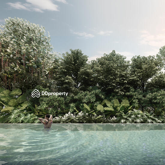 ขาย - Lane Cove : เลน โคฟ, กรุงเทพ