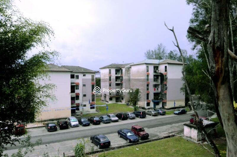 For Sale - Nuri