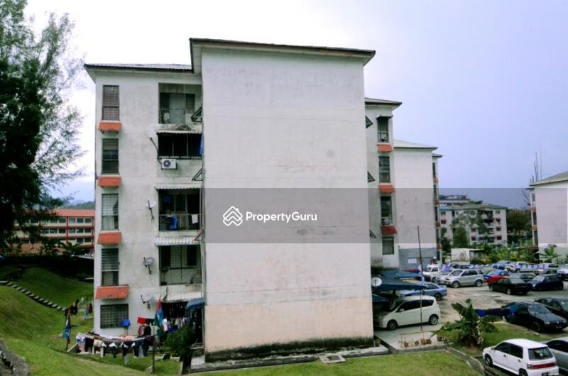 For Sale - Nuri