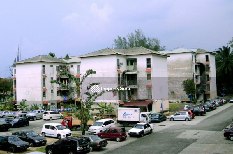 For Sale - Nuri