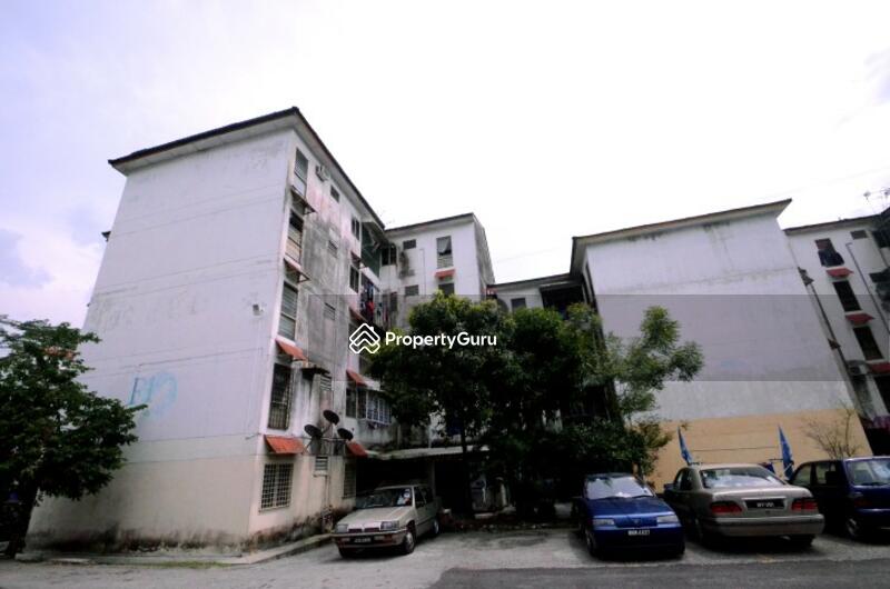For Sale - Nuri