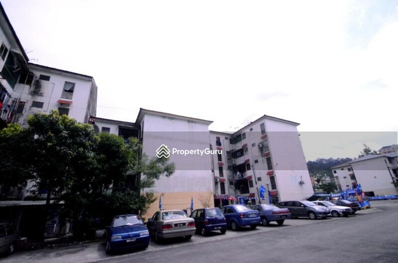 For Sale - Nuri