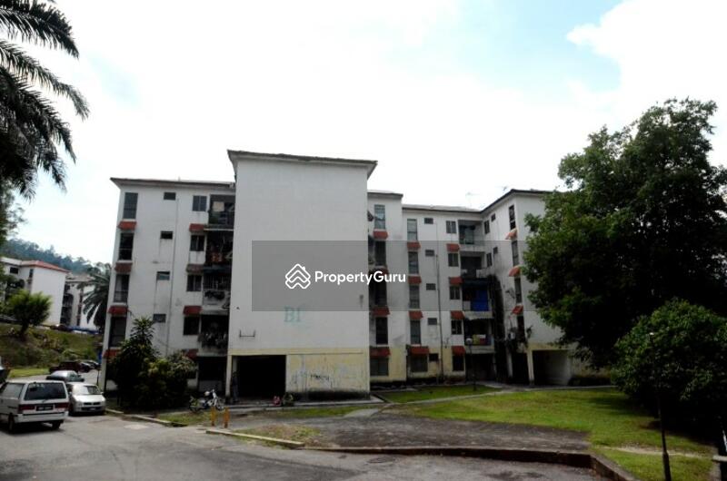 For Sale - Nuri