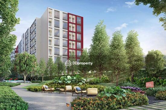 ขาย - Dcondo Hype Rangsit : ดีคอนโด ไฮป์ รังสิต, ปทุมธานี