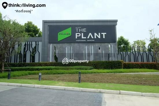 ให้เช่า - The Plant Thepharak-Bangna : เดอะแพลนท์ เทพารักษ์-บางนา, สมุทรปราการ