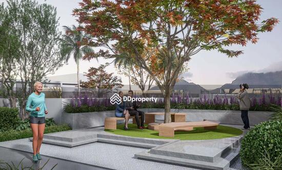 ขาย - The Ivory : ดิ ไอโวรี่, เชียงใหม่