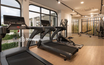 - CURATOR Ramintra 117 : คิวเรเตอร์ รามอินทรา 117