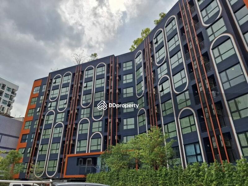 Brixton Pet&Play Phahol 50 Station : บริกซ์ตัน เพ็ทแอนด์เพลย์ พหลฯ 50 สเตชั่น #0