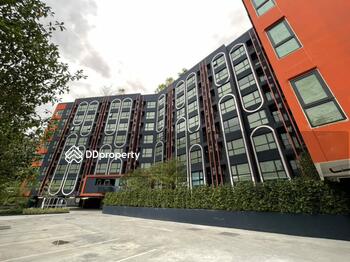 Brixton Pet&Play Phahol 50 Station : บริกซ์ตัน เพ็ทแอนด์เพลย์ พหลฯ 50 สเตชั่น