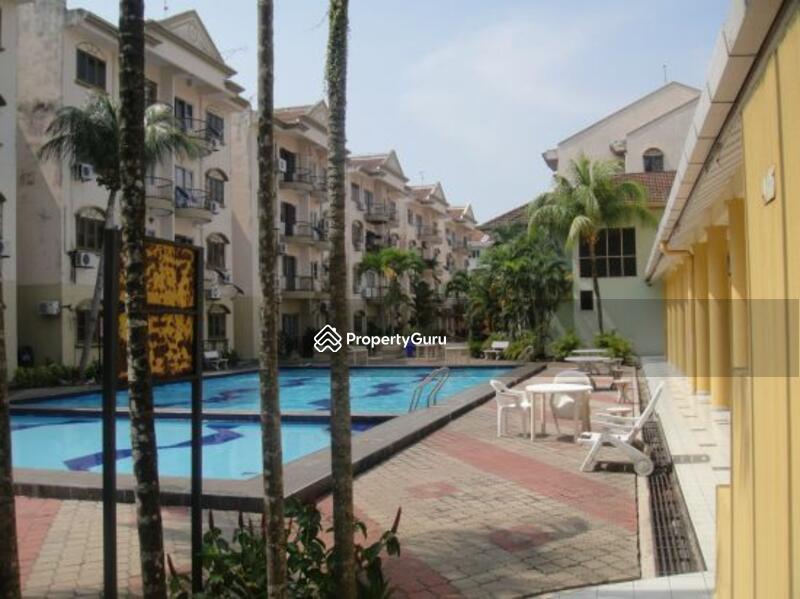 For Sale - Golden Showers (Kondo Ruby)