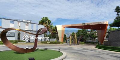  - La Villa Posh Ayutthaya : ลา วิลล์ล่า พอชช์ อยุธยา