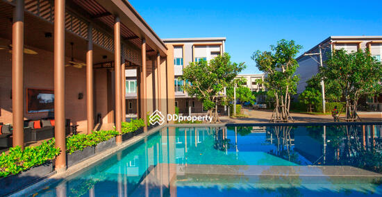 For Sale - Town Avenue Songkwae-Phitsanulok, Phitsanulok