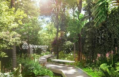  - Aliyah Reserve : อาลียาห์ รีเซิร์ฟ