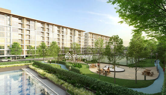 ขาย - The Ozone Oasis Condominium : ดิ โอโซน โอเอซิส คอนโดมิเนียม, ภูเก็ต
