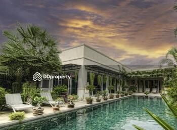 The Vineyard : เดอะวินยาร์ด