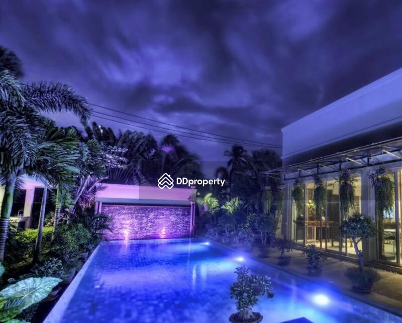 The Vineyard : เดอะวินยาร์ด #0
