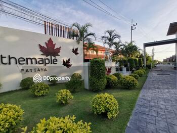 The Maple Pattaya : เดอะ เมเปิ้ล พัทยา