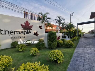 - The Maple Pattaya : เดอะ เมเปิ้ล พัทยา