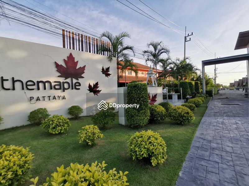 The Maple Pattaya #0