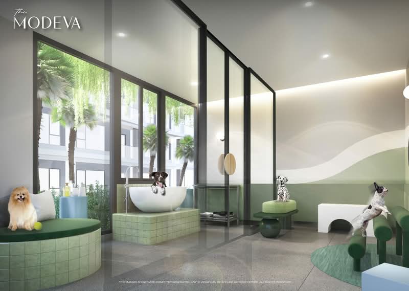 The Modeva For Sale and Rental