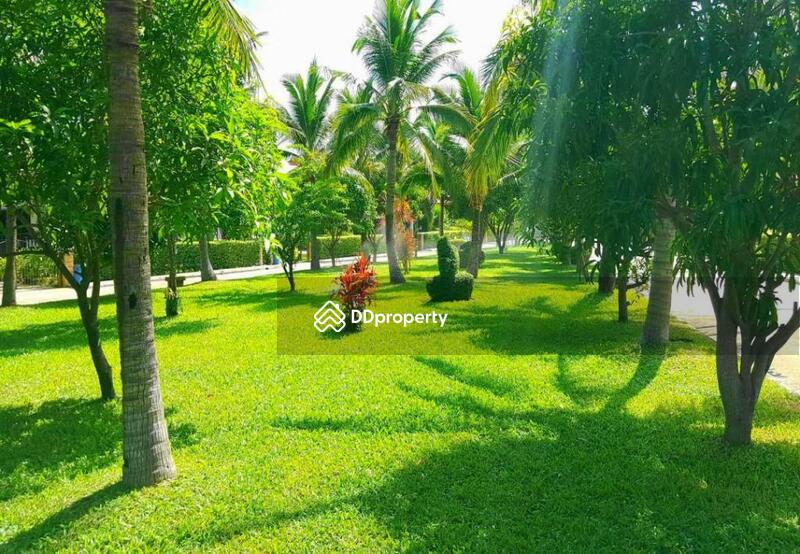ขาย - Manora Village II : มโนราห์ วิลเลจ 2, ประจวบคีรีขันธ์