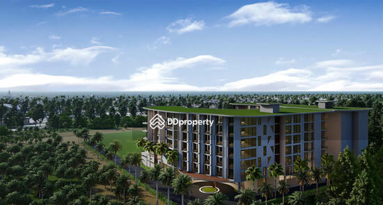 ขาย - Aura Condominium : ออร่า คอนโดมิเนียม, ภูเก็ต
