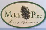 Molek Pine 1 #0