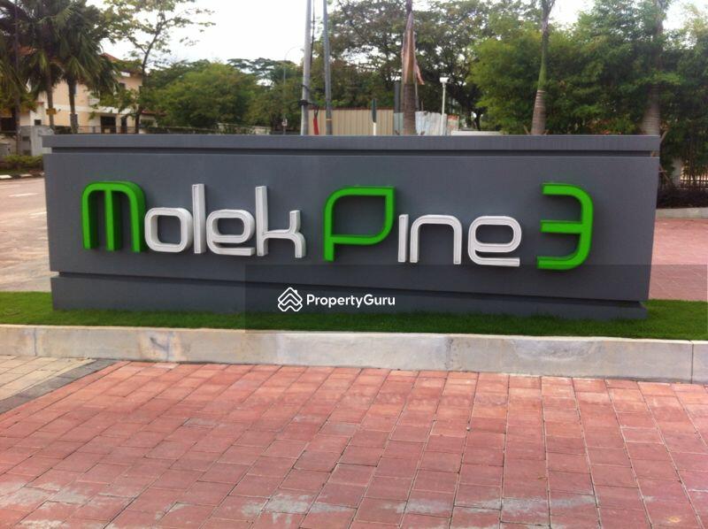 For Rent - Molek Pine 3