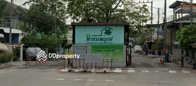  - Fahchompruk Phase : ฟ้าชมพฤกษ์