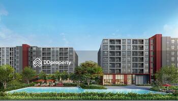 Dcondo Vivid Rangsit : ดีคอนโด วิวิด รังสิต