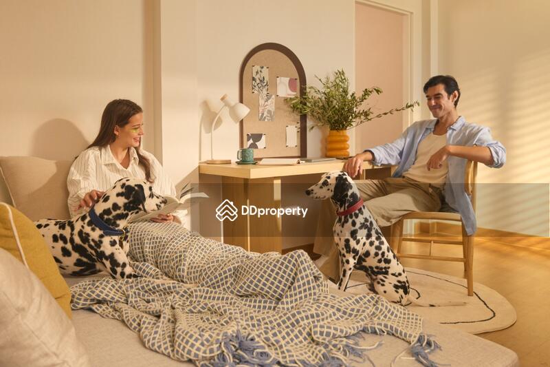 ขาย - MODEN Kanchana-Bangyai : MODEN กาญจนาฯ-บางใหญ่, นนทบุรี