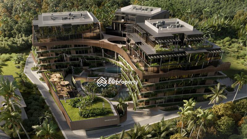 ขาย - Bamboo Forest : แบมบู ฟอเรสต์, ภูเก็ต