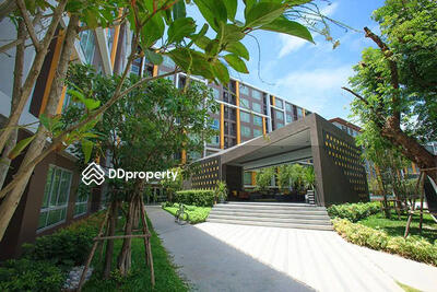 - The Scene Bangsaen : เดอะ ซีน บางแสน